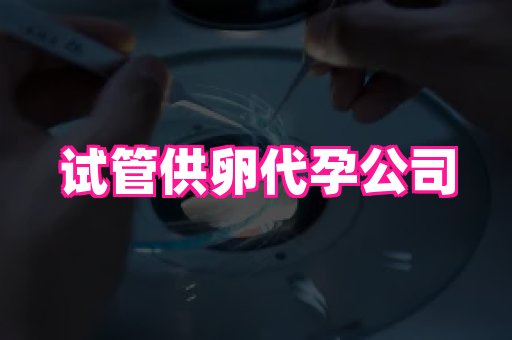 深圳助孕网站 1