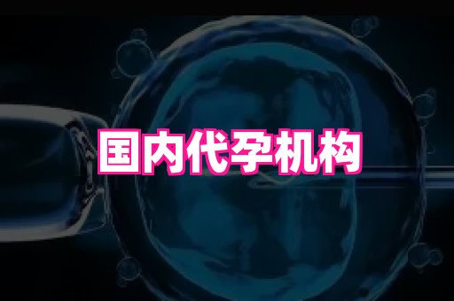 深圳助孕网站 2