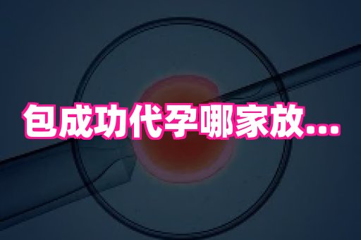 深圳助孕网站 3