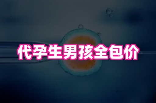 深圳助孕网站 4